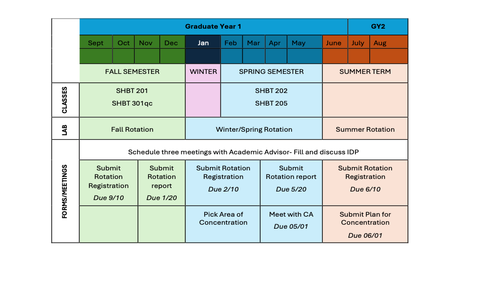 Main Chart 1
