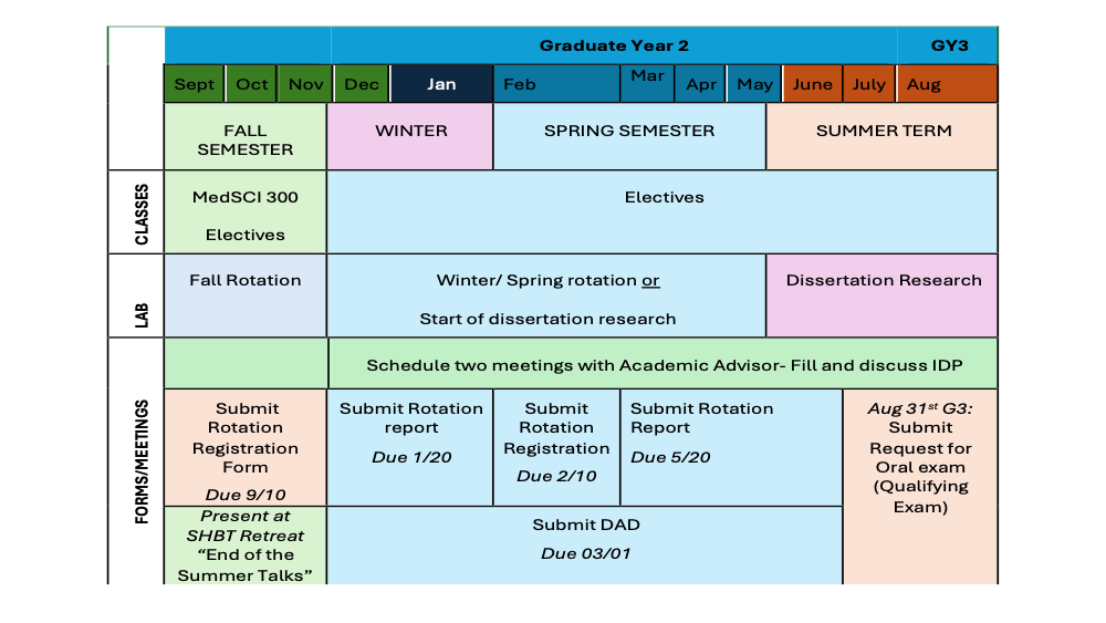Main Chart 2