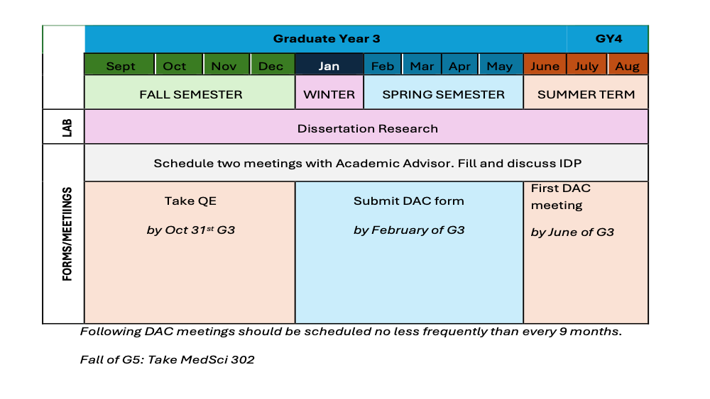Main Chart 3