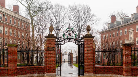 harvard picture