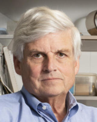 David Corey